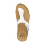 Scholl Boa Vista - Image 7