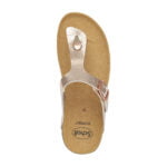 Scholl Boa Vista - Image 10