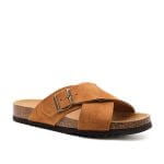 Scholl Tangor