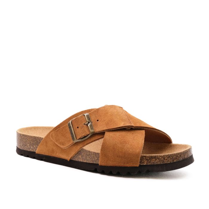 Scholl Tangor - Image 1