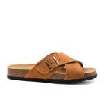 Scholl Tangor - Image 2