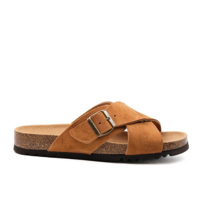 Scholl Tangor - Image 2