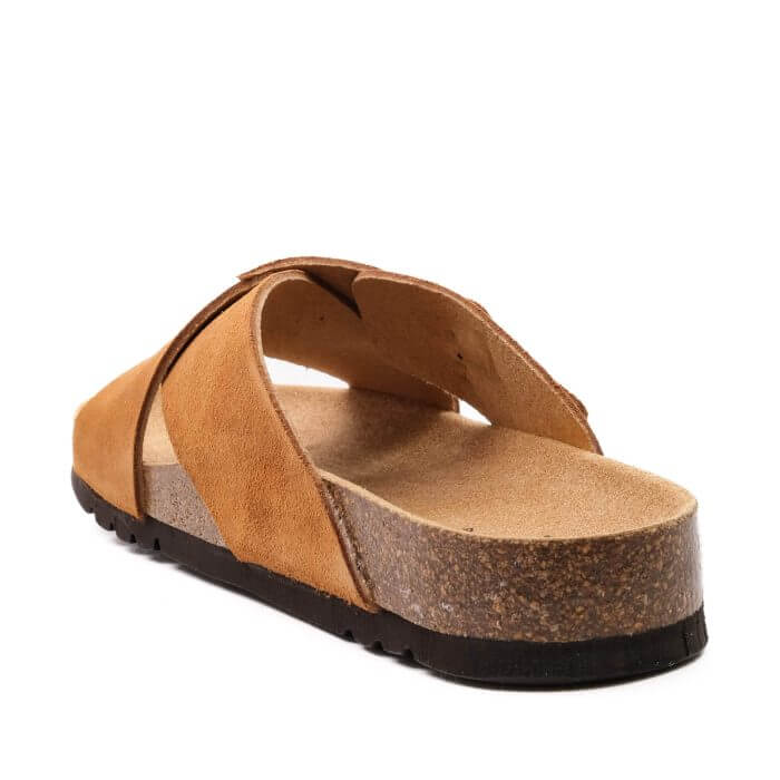 Scholl Tangor - Image 6