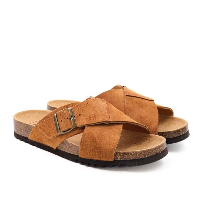 Scholl Tangor - Image 4