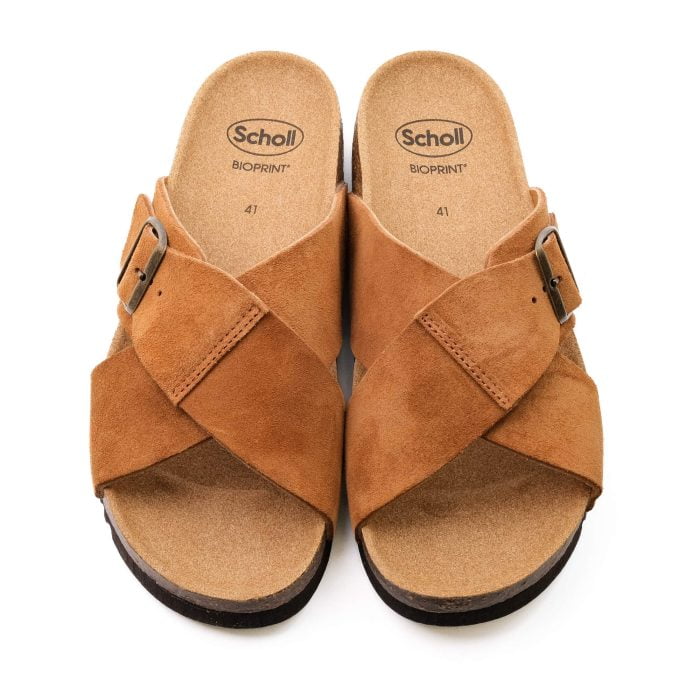 Scholl Tangor - Image 5