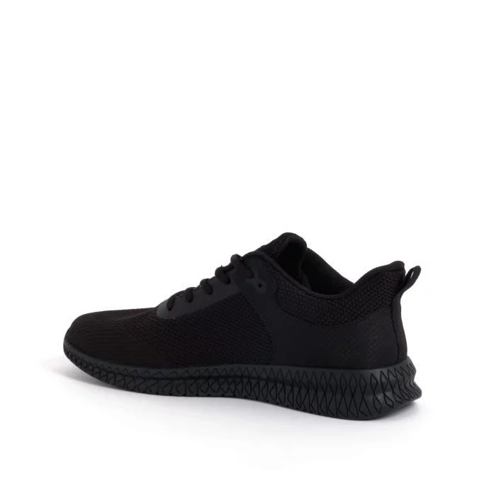 Scholl Thomas - Image 4