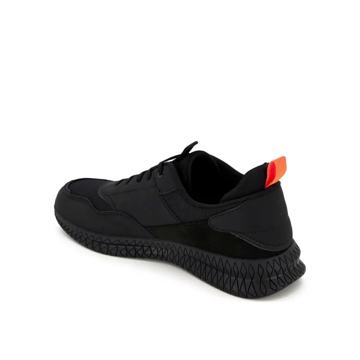 Scholl Thomas 24 - Image 4