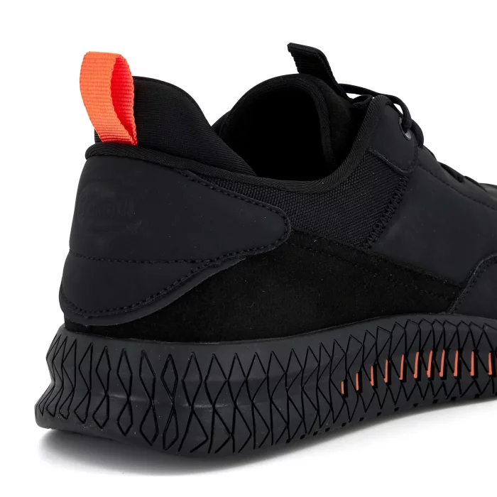 Scholl Thomas 24 - Image 6