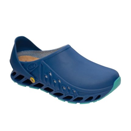 Scholl EVOFLEX