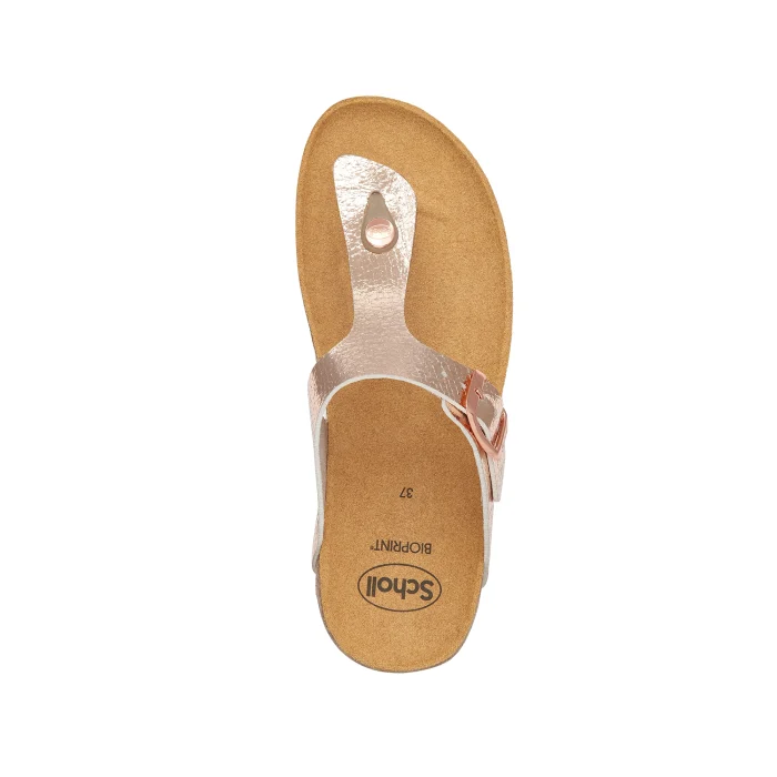 Scholl Boa Vista - Image 2