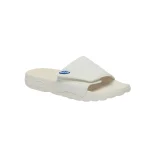 Scholl Nautilus