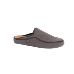 Scholl Brandy