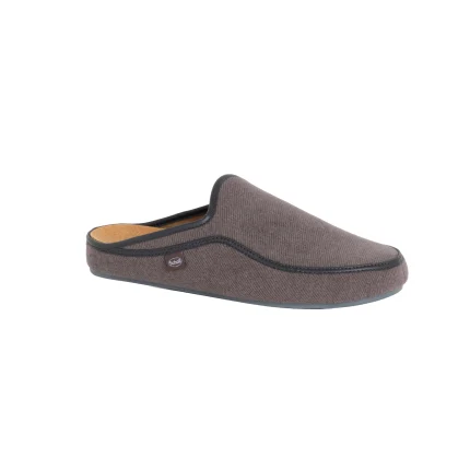 Scholl Brandy