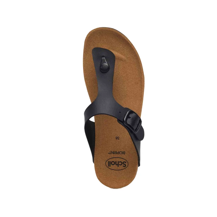 Scholl Boa Vista - Image 3