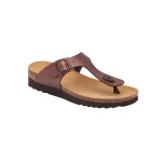 Scholl Boa Vista