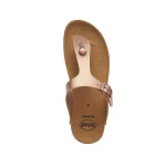 Scholl Boa Vista - Image 2